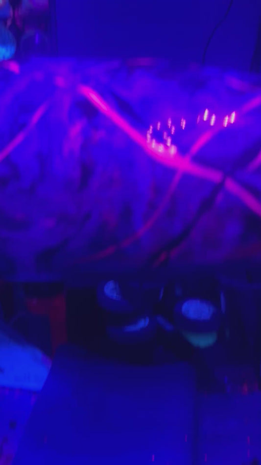 30 OZ Curve Tumbler purples